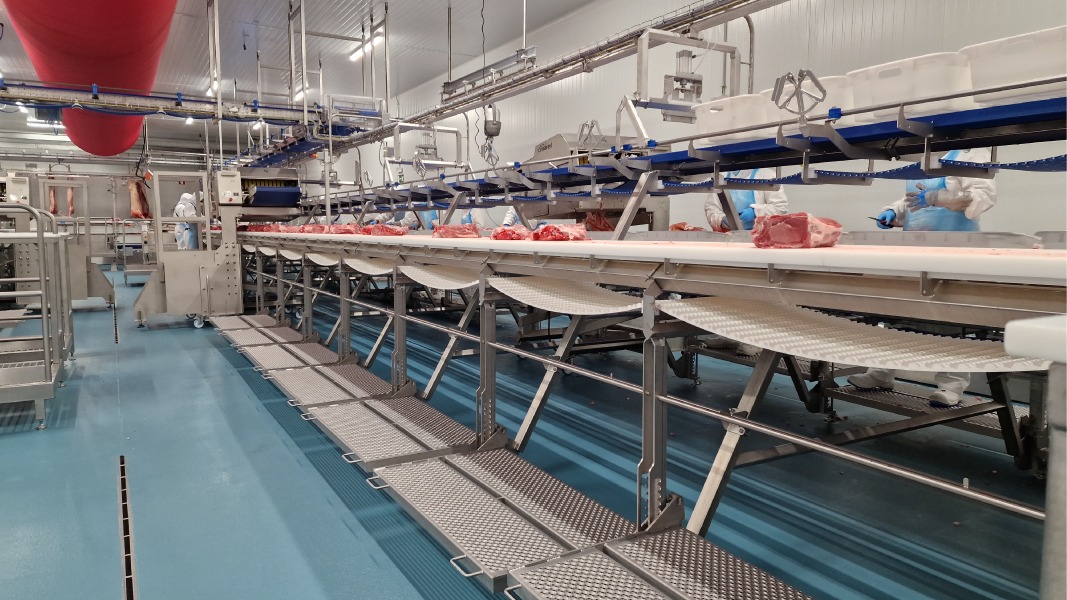 Modern pork cutting and processing line at a meat production facility