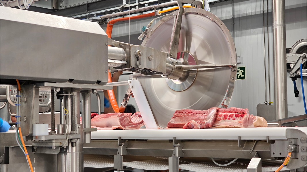 Industrial precision pork cutting equipment and conveyor line