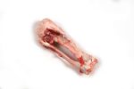 Frozen Pork Humerus Bone