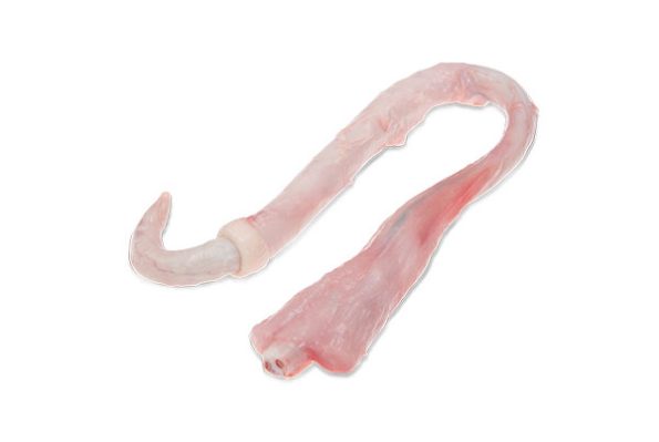 Frozen Pork Penis