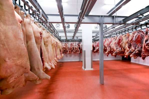 Frozen Pork